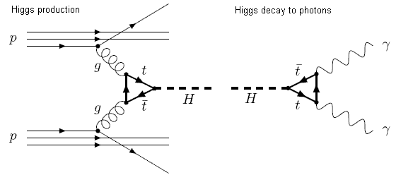 Higgs Feynman diagram