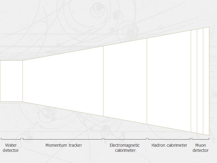 The detectors